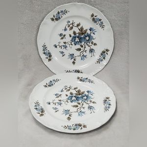 Staffordshire Blossom Time Plates 2
